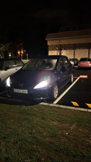 peugeot 307
