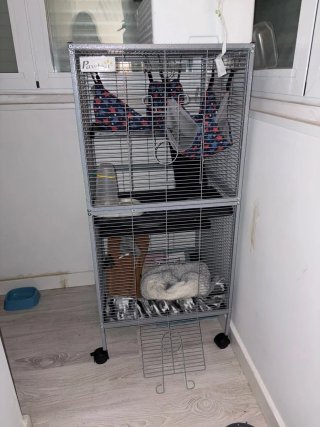 Jaula para mascotas sin accesorios