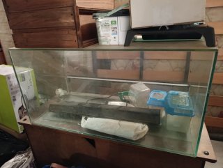 Terrario Reptiles con Cerradura y Luz
