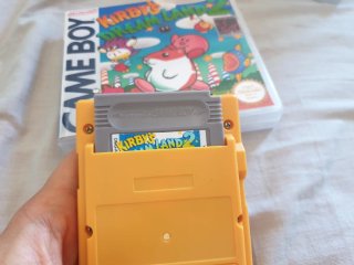 Kirby's Dream Land 2 per Game Boy