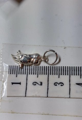 Colgante de Plata de Ley