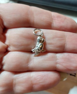 Colgante de Plata de Ley