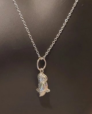 Colgante de Plata de Ley
