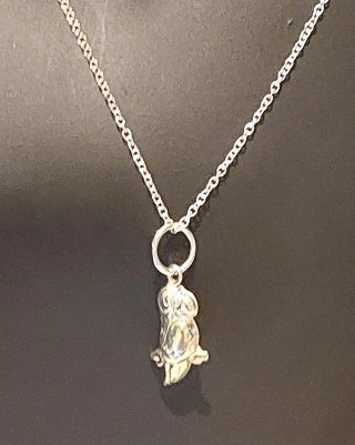 Colgante de Plata de Ley