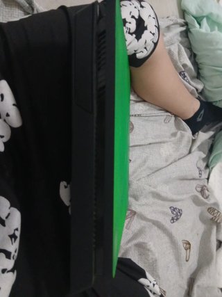 PS4 (PlayStation 4) Verde