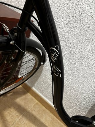 Bicicleta City 45 Sunrun
