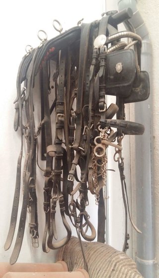 Carro de caballos jardinera con aparejada