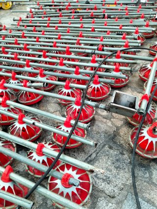 Comedero avícola rojo y gris