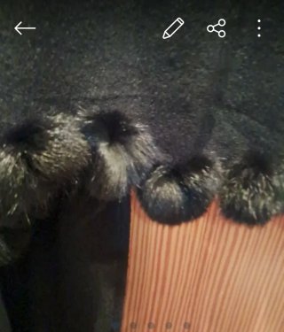 Pashmina negra con flecos y pompones
