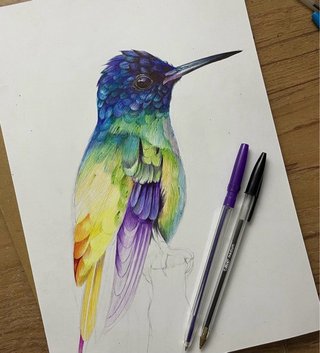 El dibujo del colibrí fue creado con bolígrafo