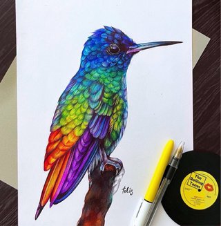El dibujo del colibrí fue creado con bolígrafo