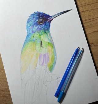 El dibujo del colibrí fue creado con bolígrafo