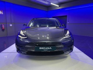 Tesla Model 3 Estándar Plus RWD 225 kW (306 CV)