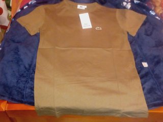 T-Shirt Lacoste Esverdeado S