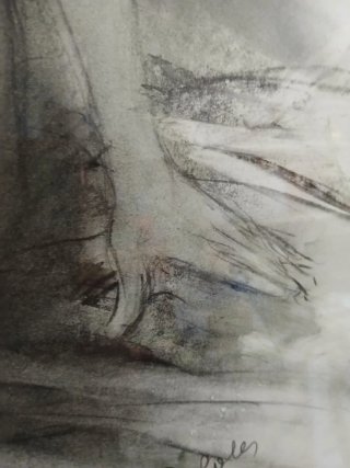 Disegno a matita donna nuda