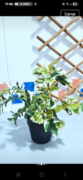 Lote 2 piante artificiali per la decorazione.