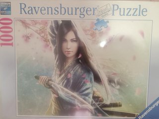 Puzzles 1.000 piezas