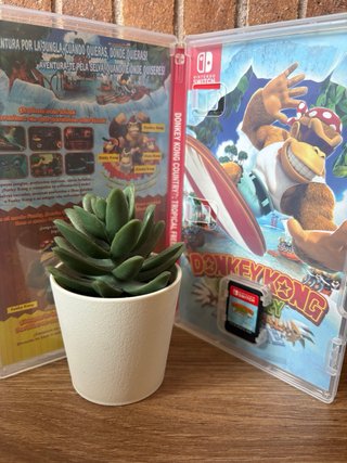 Donkey Kong Country Tropical Freeze Switch