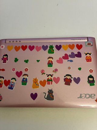 Mini portátil Acer Rosa Coleccionista