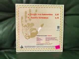 Vinilo 12 Big Mountain - Reggae Inna Summertime