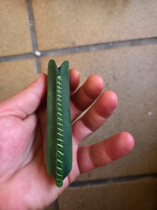 Funda de cuero verde
