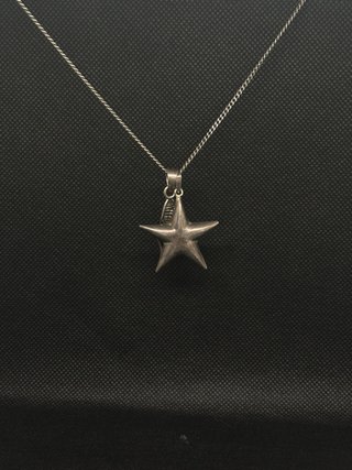 Collar Plata 925 Estrella Ala