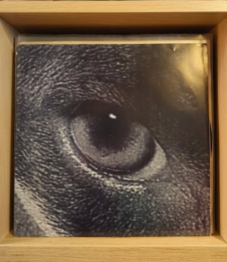 El Último de la Fila - Astronomía Razonable LP
