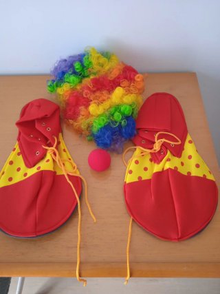 Disfraz Payaso Talla Única