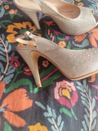 Zapatos de fiesta o novia plateados