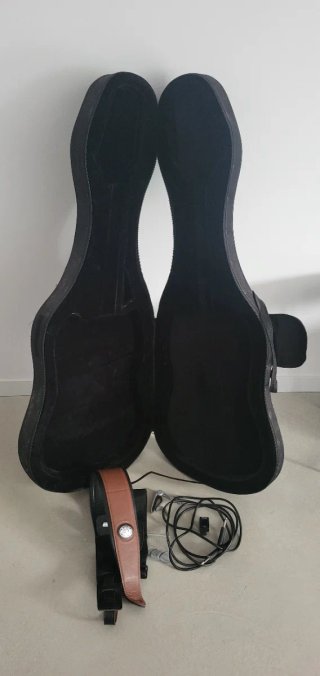 Pack guitarra Hamer Diablo + Blackstar Fly 3 +Boss