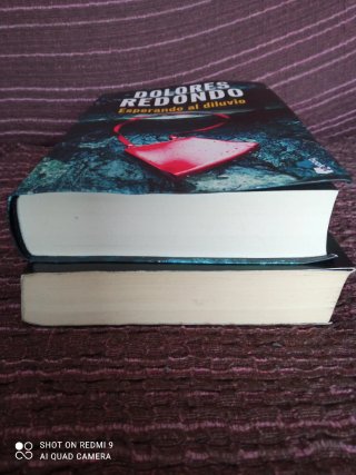 Dolores Redondo lote de 2 libros