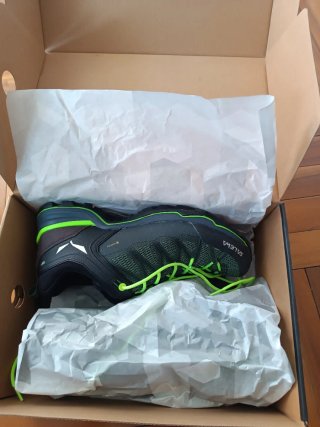 Zapatillas Salewa MNT Trainer Lite GTX 44.5