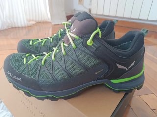 Zapatillas Salewa MNT Trainer Lite GTX 44.5