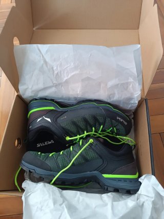 Zapatillas Salewa MNT Trainer Lite GTX 44.5