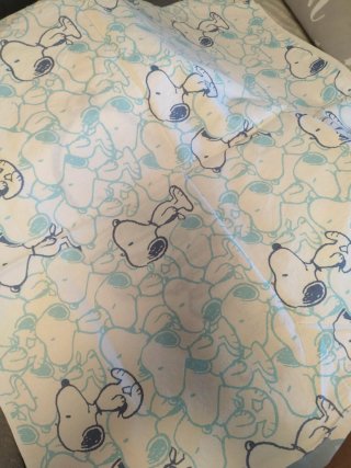Funda Nórdica Snoopy cama 105 con cojin