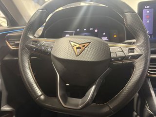 Cupra Formentor Taiga Grey (2021)