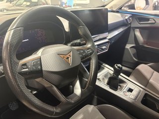 Cupra Formentor Taiga Grey (2021)