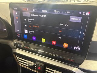 Cupra Formentor Taiga Grey (2021)
