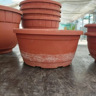 10 Vasi Ciotole Plastica Marrone 17-25cm