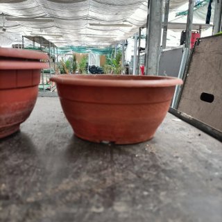 10 Vasi Ciotole Plastica Marrone 17-25cm