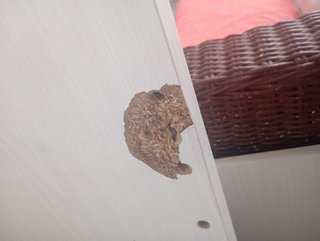 Doppio letto singolo estraibile in legno