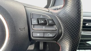 DESDE 294€ AL MES SIN ENTRADA MG EHS HIBRIDO