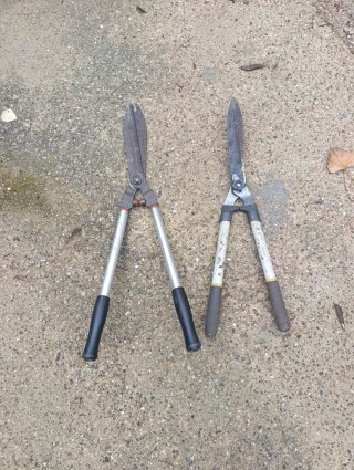 Forbici da siepe