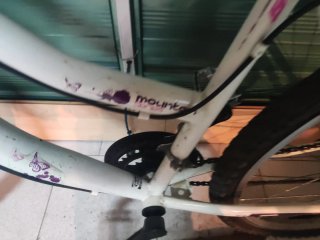 Bicicleta BH Shark Morada