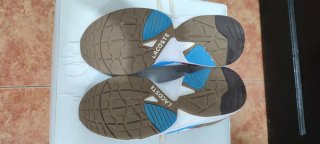 Zapatillas Lacoste Marrones/Blancas/Azules/Rojas