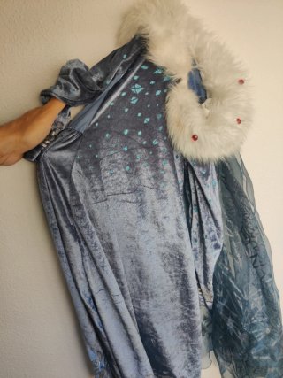 Disfraz Frozen Elsa Talla 4-6