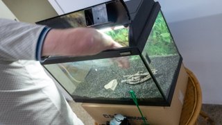 Acuario Waterhome 60x35x30
