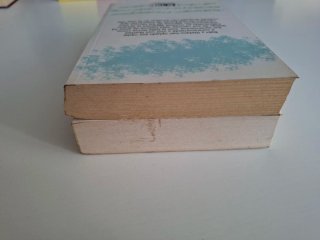Lote 2 libros de Federico Moccia