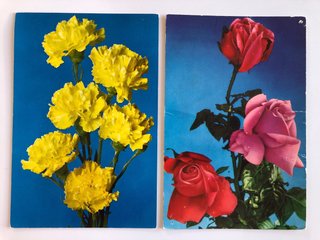 2 Postales Raker Flores 8001/D y 8124/D