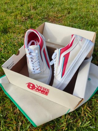 Zapatillas Vans Edición Limitada David Bowie